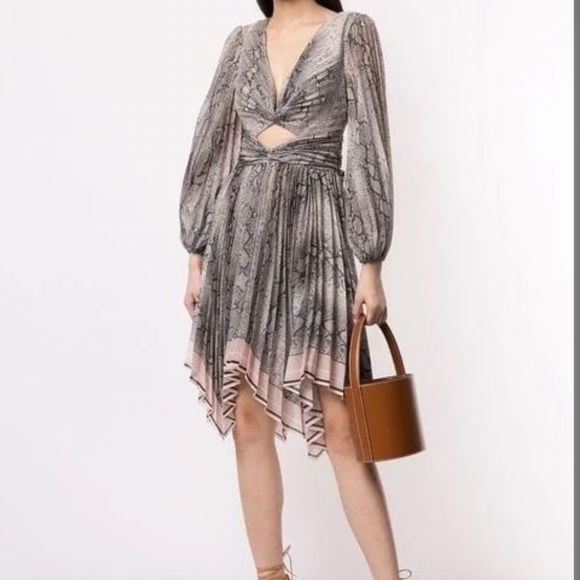 Zimmermann Corsage Dress - Picture 2 of 9